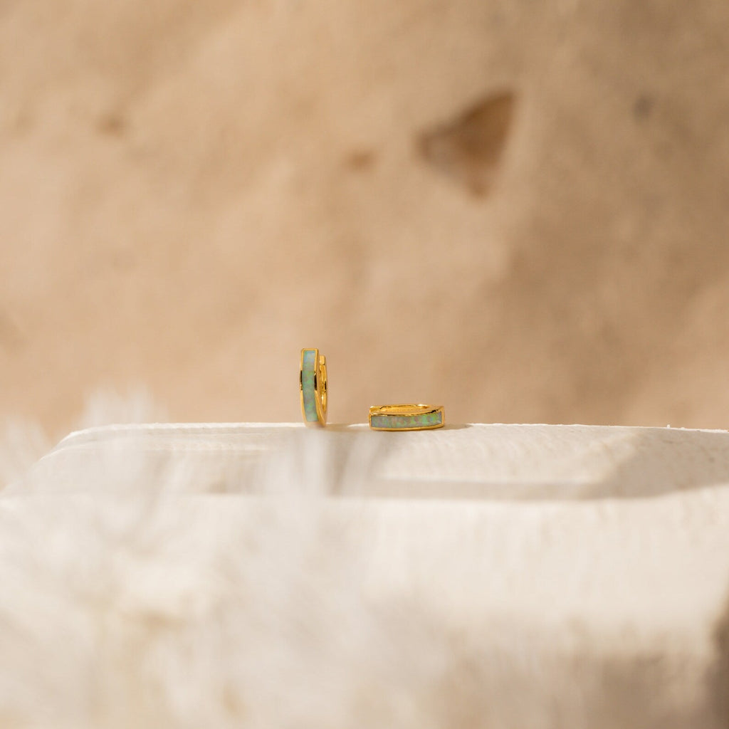 Slim Shiny Hoop Earrings