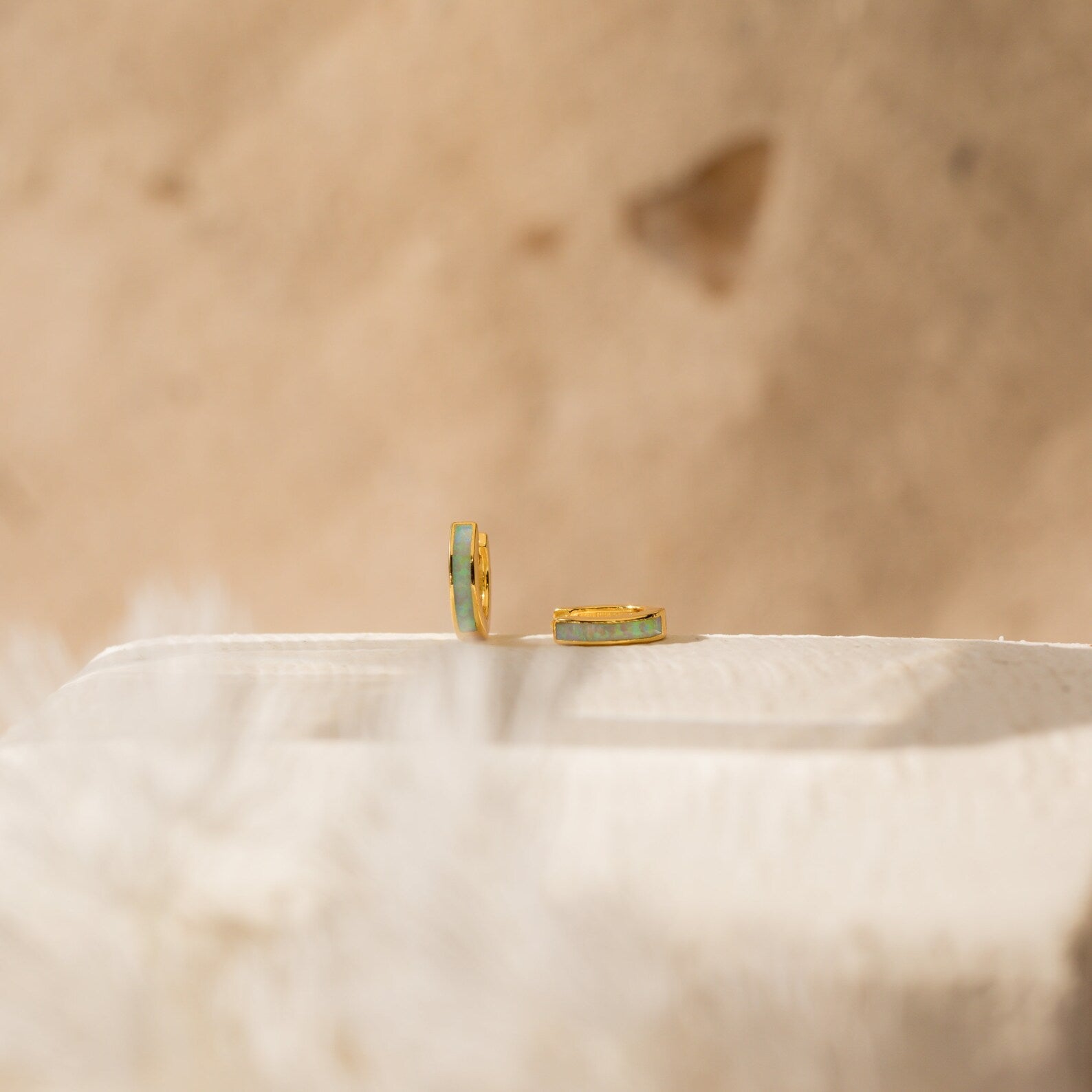 Slim Shiny Hoop Earrings